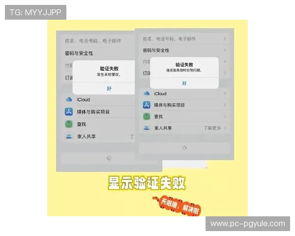 PG官网验证失败怎么办？详细分析原因及有效解决方法推荐
